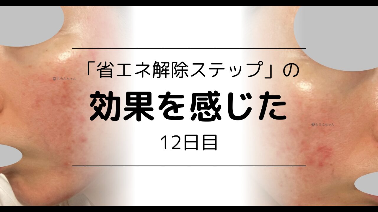 効果を感じた12日目